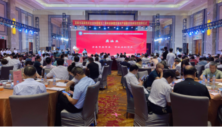 1656900291845422.png 3.png